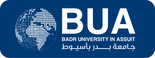 badr-university-in-assuit-log-in-to-the-site